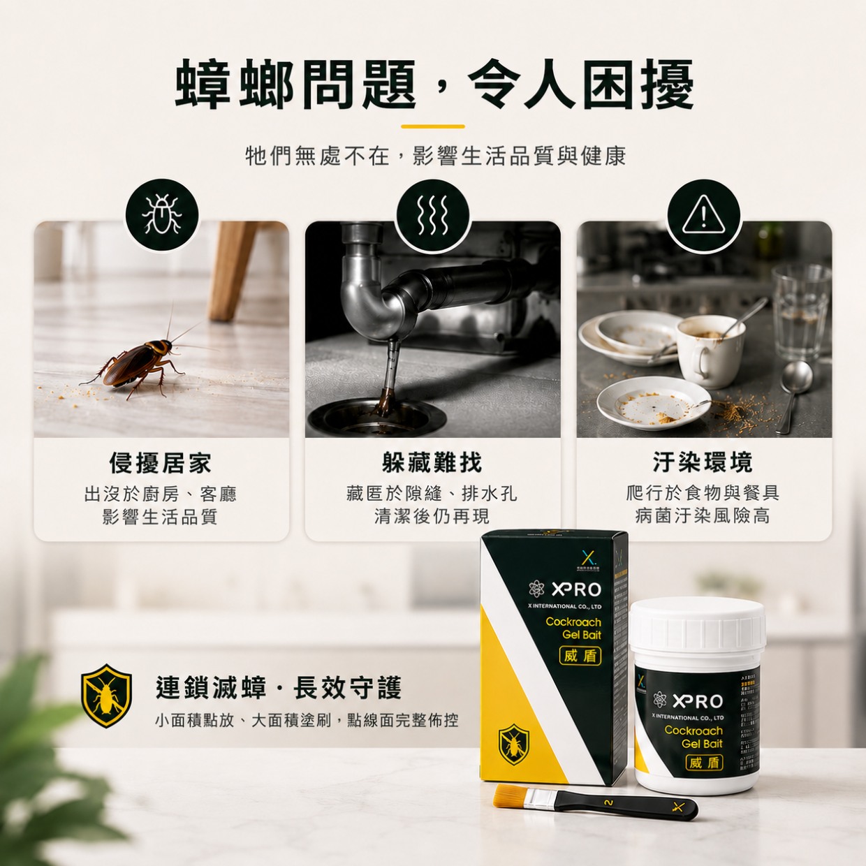 艾克司 XPRO蟑螂餌劑 100g (新包裝-威盾)